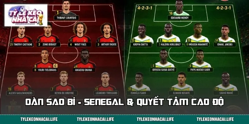 Dàn sao Bỉ - Senegal & quyết tâm cao độ