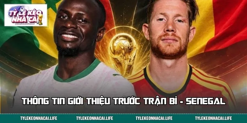 Thông tin giới thiệu trước trận Bỉ - Senegal