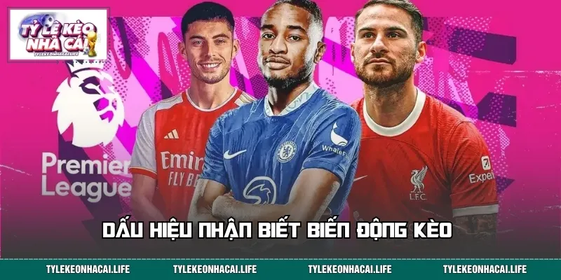 Dấu hiệu nhận biết biến động kèo