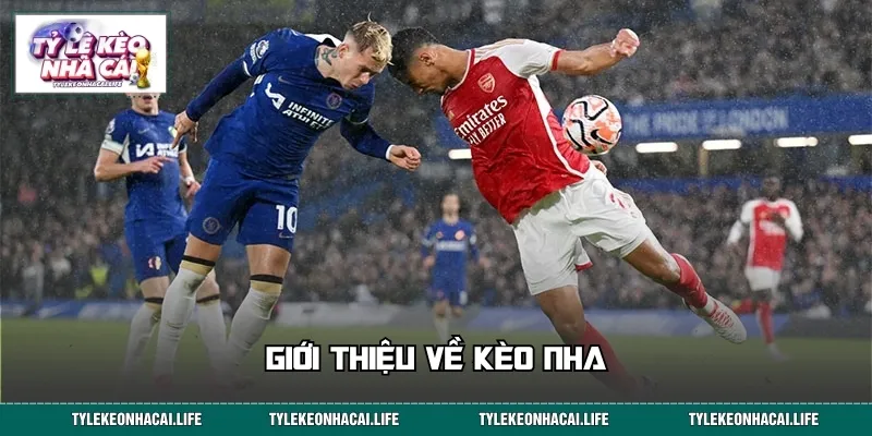 Giới thiệu về kèo NHA