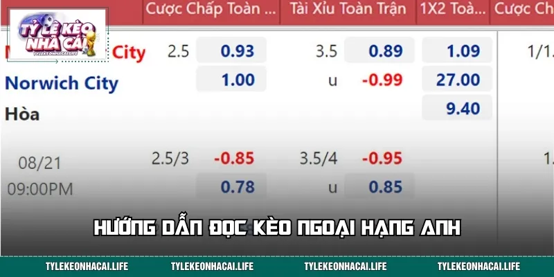 Hướng dẫn đọc kèo Ngoại Hạng Anh