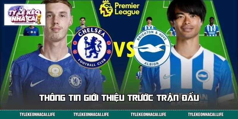 Thông tin giới thiệu trước trận đấu
